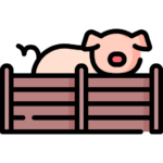 Poultry and pig farming